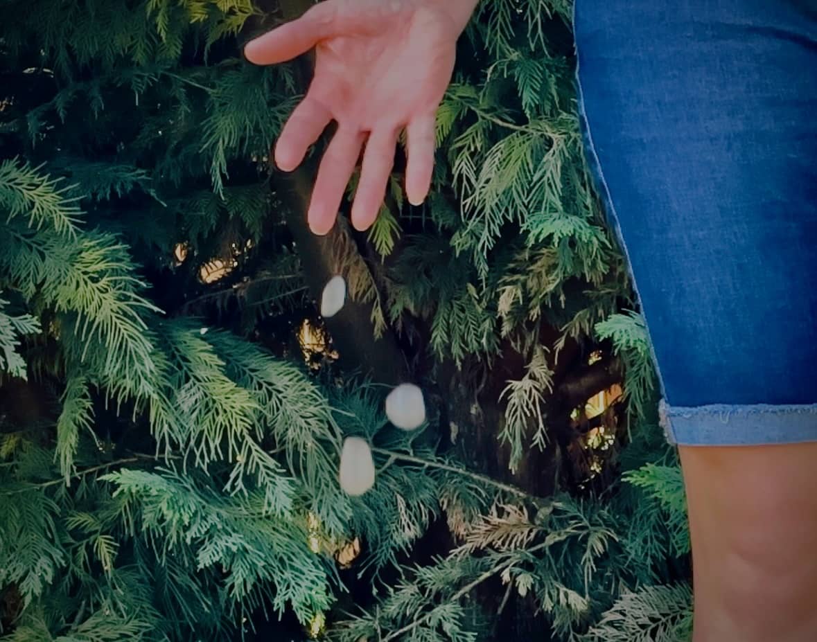 Sue Evergreen is dropping rocks in front of an evergreen tree in "Why Dropping Rocks."