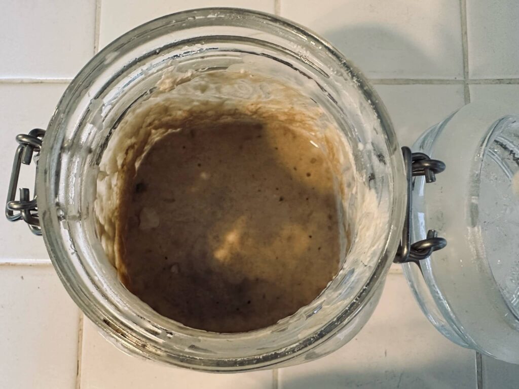 The Rotton sourdough starter, darkened from going rancid, is in a clear jar in Sue Evergreen's kitchen.