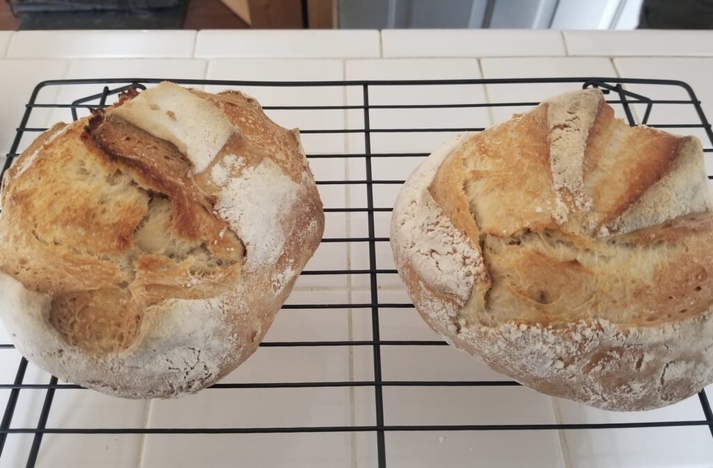 Two loaves of homemade artisan-style sourdough cooling on a rack.