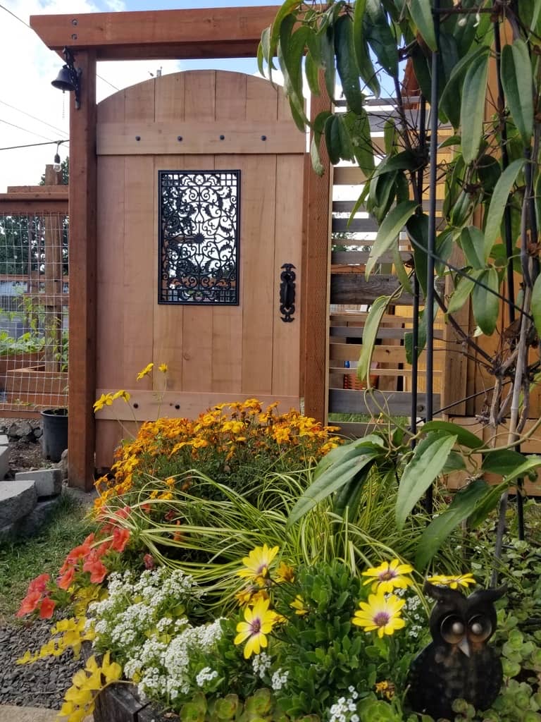 A planter full of clematis and flowers is in front of the garden gate, with rot iron hardware and an ornate iron window embedded in the gate. Posted in Spring in the Garden 2023 on Dropping Rocks.