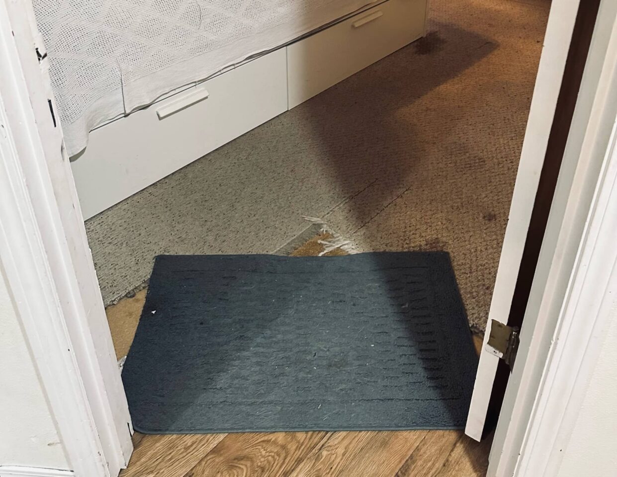 rug covering the doorway seem between new laminate floor and unfinished room with old carpet