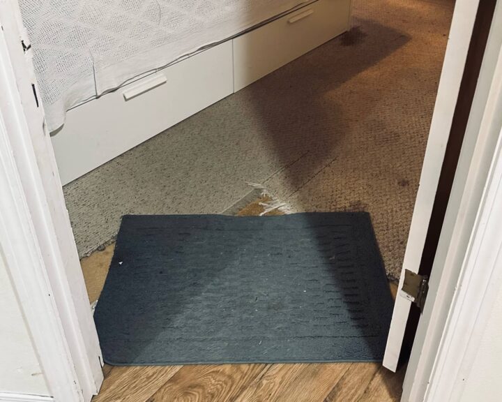 rug covering the doorway seem between new laminate floor and unfinished room with old carpet