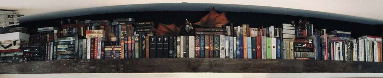 Panorama of Sue Evergreen's two-tiered library, which contains various authors, including Meyer, Collins, Clarke, Larsson, Harris, Tolkien, Martin, Zimmer Bradley, Gabaldon, Stephenson, Tolstoy, Austin, Kingsolver, King, Brown, Rice, and Clancy.