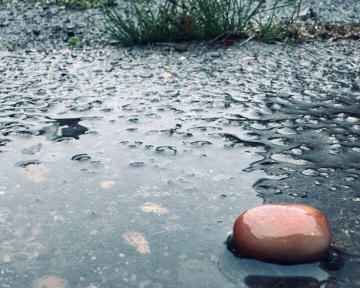 Little orange pebble in an Autumn puddle of water with grass growing out of the pavement in the background