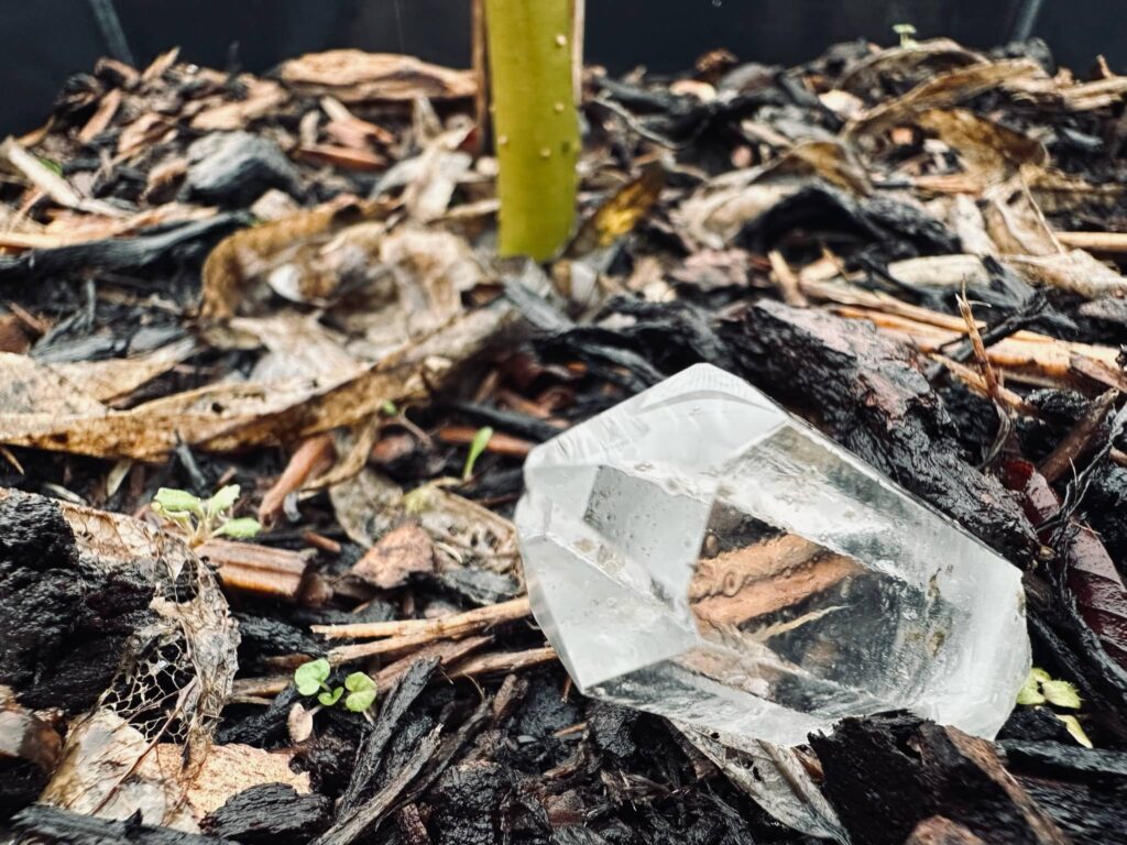 Quartz crystal in the dirt.