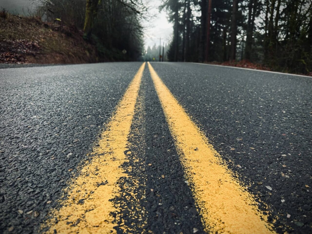 Looking down the solid yellow lines on a road with trees and mist in the background. Life's Magic on My Road, posted by Sue Evergreen.