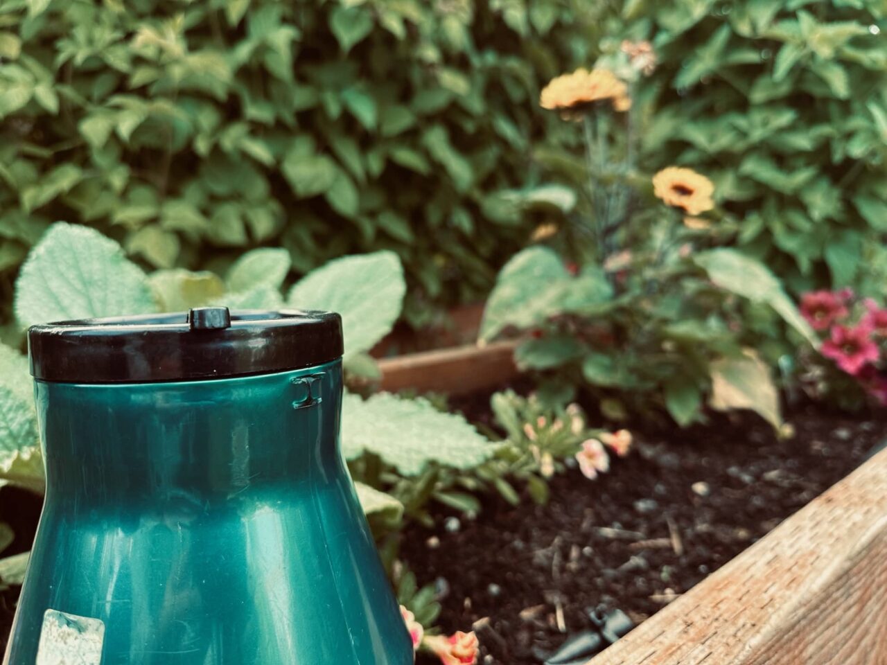 A Green plastic to-go coffee mug with an old sticker and missing handle. A Cup Full of the Past, posted by Sue Evergreen.