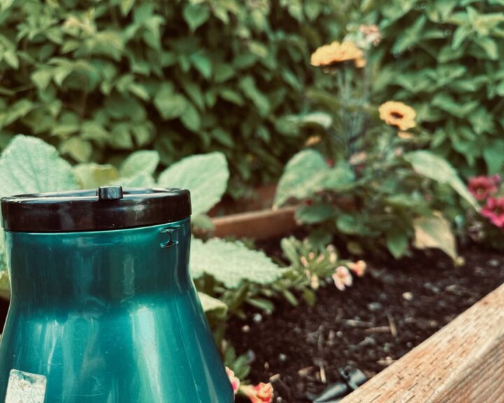 A Green plastic to-go coffee mug with an old sticker and missing handle. A Cup Full of the Past, posted by Sue Evergreen.