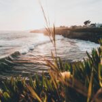 Ocean and sunset along the Santa Cruz, California coast. Posted in "When a Song Tells Your Story" by Sue Evergreen. Photo by Simon Shim on Upsplash