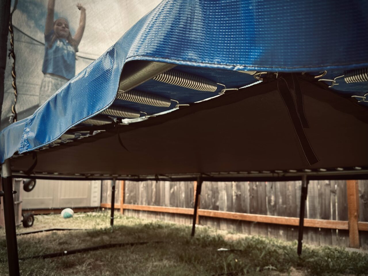 View from below a trampoline—photo taken and copyrighted by Sue Evergreen.