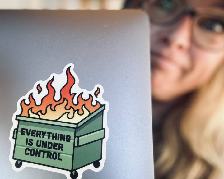 Sue looks out the side of her laptop, which has a dumpster-fire sticker on the front that says, "Everything is under control." Image copyrighted by Dropping Rocks.